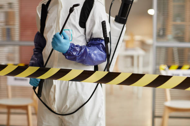 Professional Sewage Cleanup technician working in West Lebanon, IN